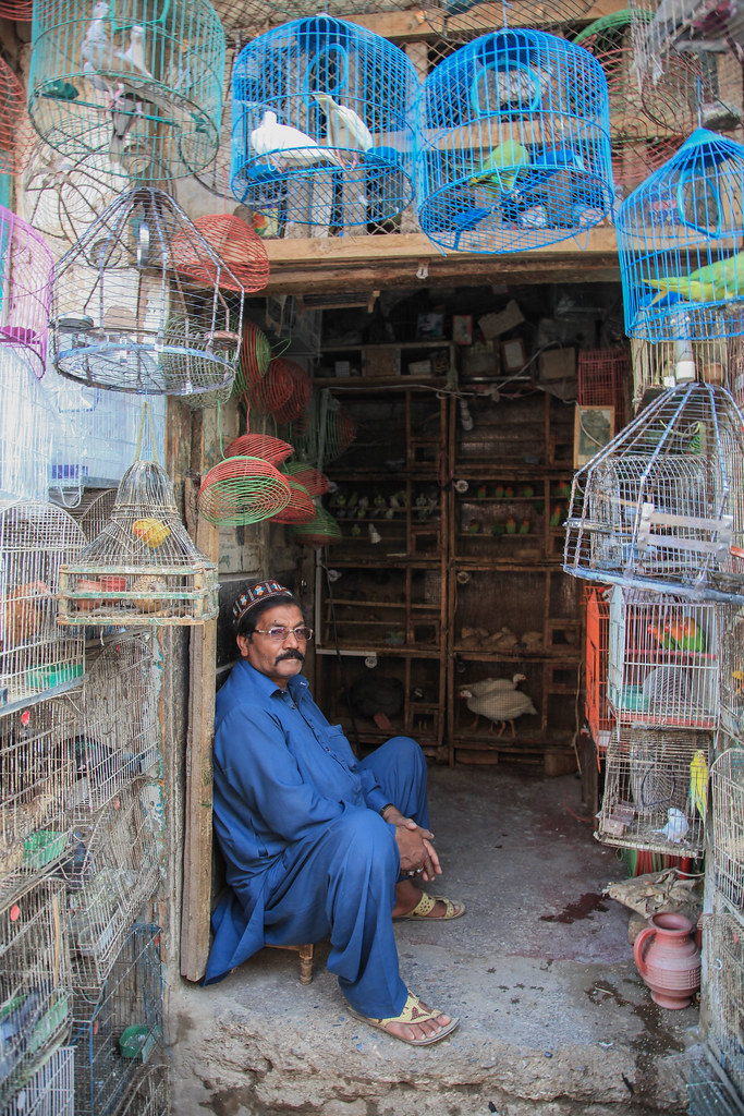 Market scene in Peshawar (Pakistan) Josep Castell Flickr
