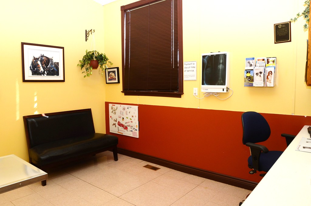 large exam other side Campbell Road Veterinary Services Flickr