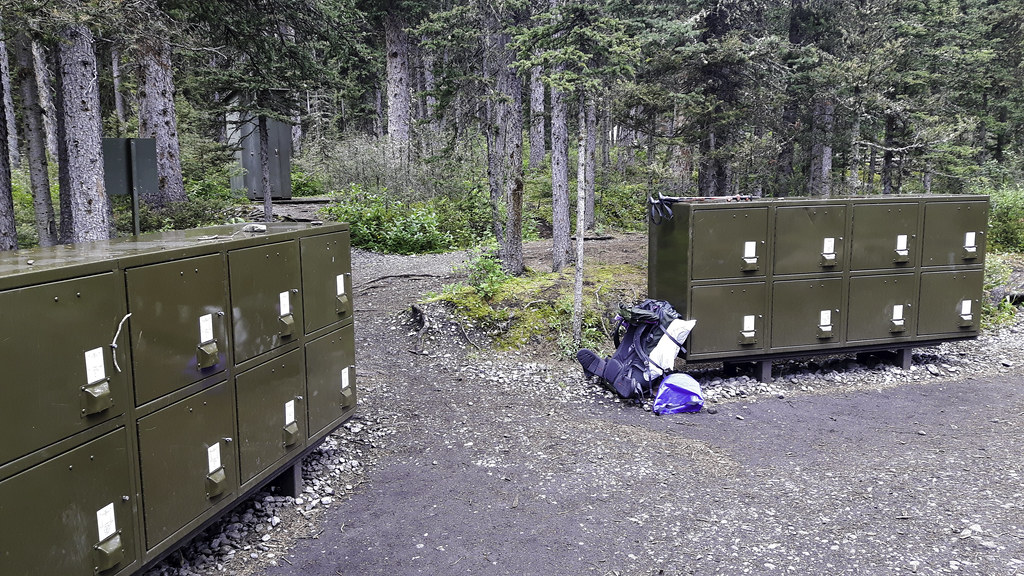 Peter Lougheed PP Forks Backcountry Campground Bear Lo… Flickr