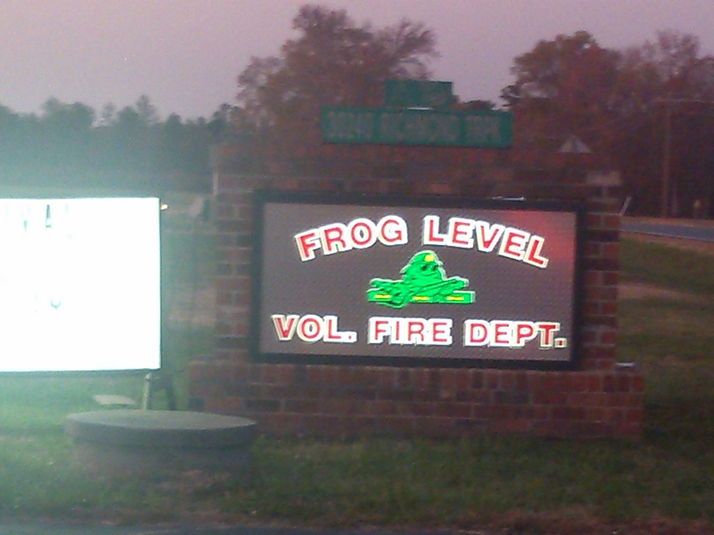 to frog level Scotto Bear Flickr