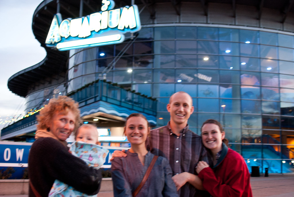 nikusdesign Denver Aquarium Jobs