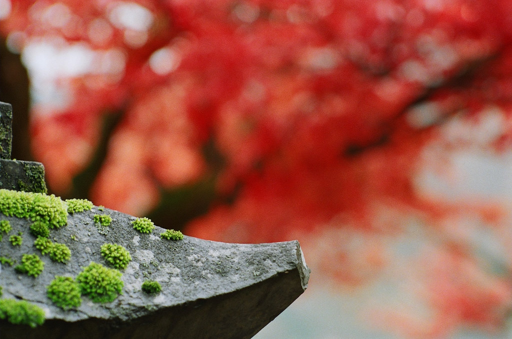 Yabu Shrine 2 hours bus trip from my hometown Yabu City, t… Flickr