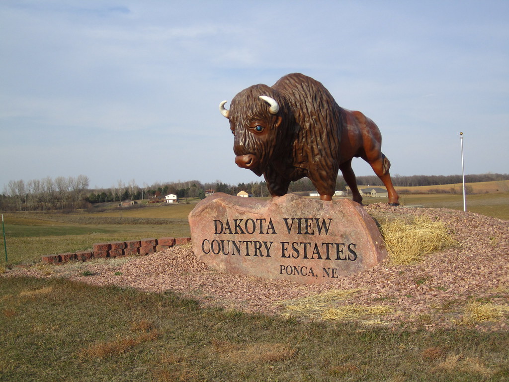 Buffalo sculpture, Dakota View Country Estates, Ponca Flickr