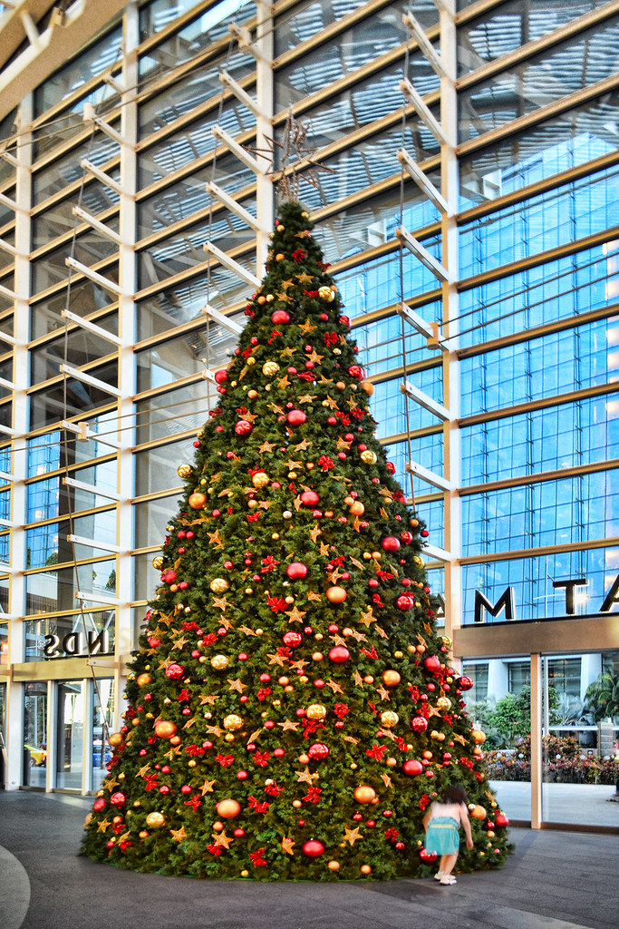 Christmas Tree Decorations for the 2012 Christmas Festival… Flickr