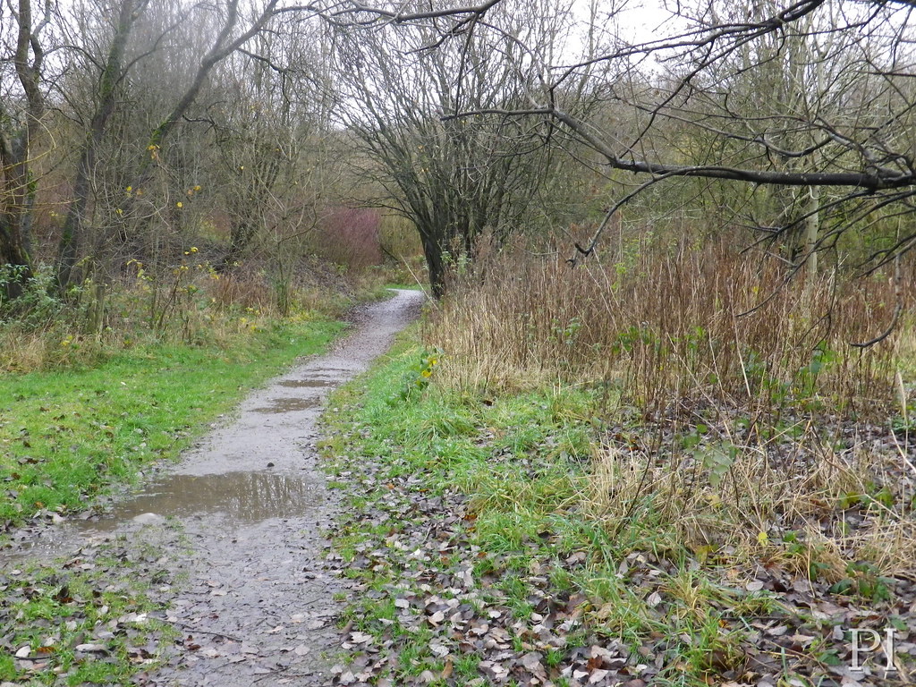 Leesbrook Nature Park, Oldham. Flickr