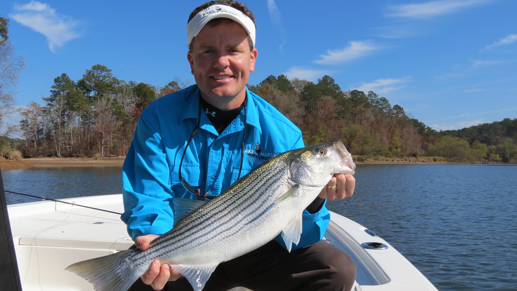 Striper Fishing on Lake Martin with Alex City Guide Servic… Flickr