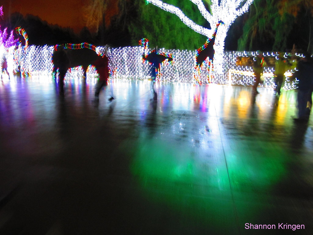 Wild LIGHTS 1843 Wild LIGHTS at Woodland Park Zoo Seattle Shannon