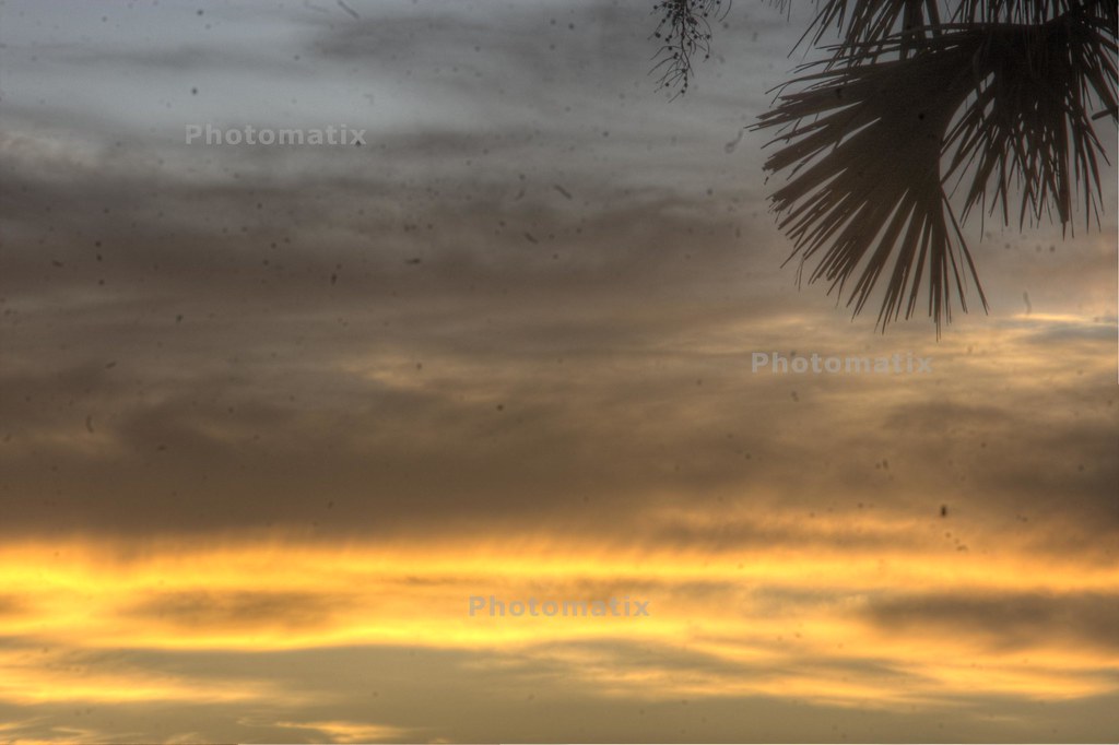 Fort Lawn Loop, The Villages, FL, USA Sunrise Sunset Times