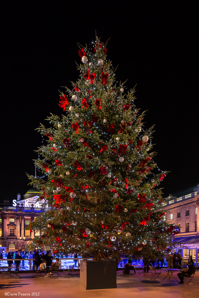 Somerset House Cristmas Tree Dave Pearce Flickr