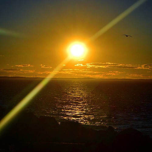 Halibut Point State Park Rockport Massachusetts rockpo… Flickr