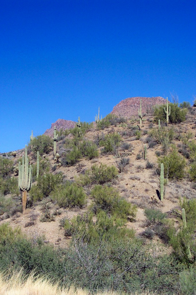 Aravaipa Road Dudleyville Arizona phredf Flickr