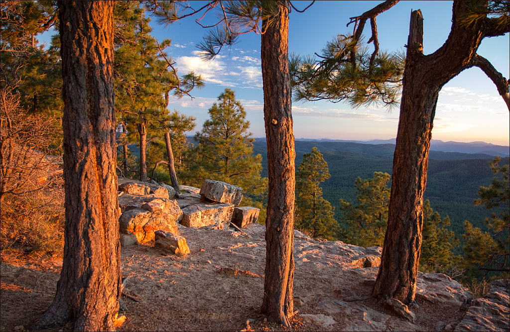 Elevation of Mogollon Rim, Arizona, USA Topographic Map Altitude Map