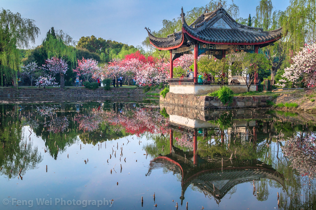 China Garden Hadleigh Website designpyme