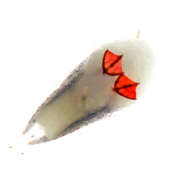 Flickriver Photos from paultmckee