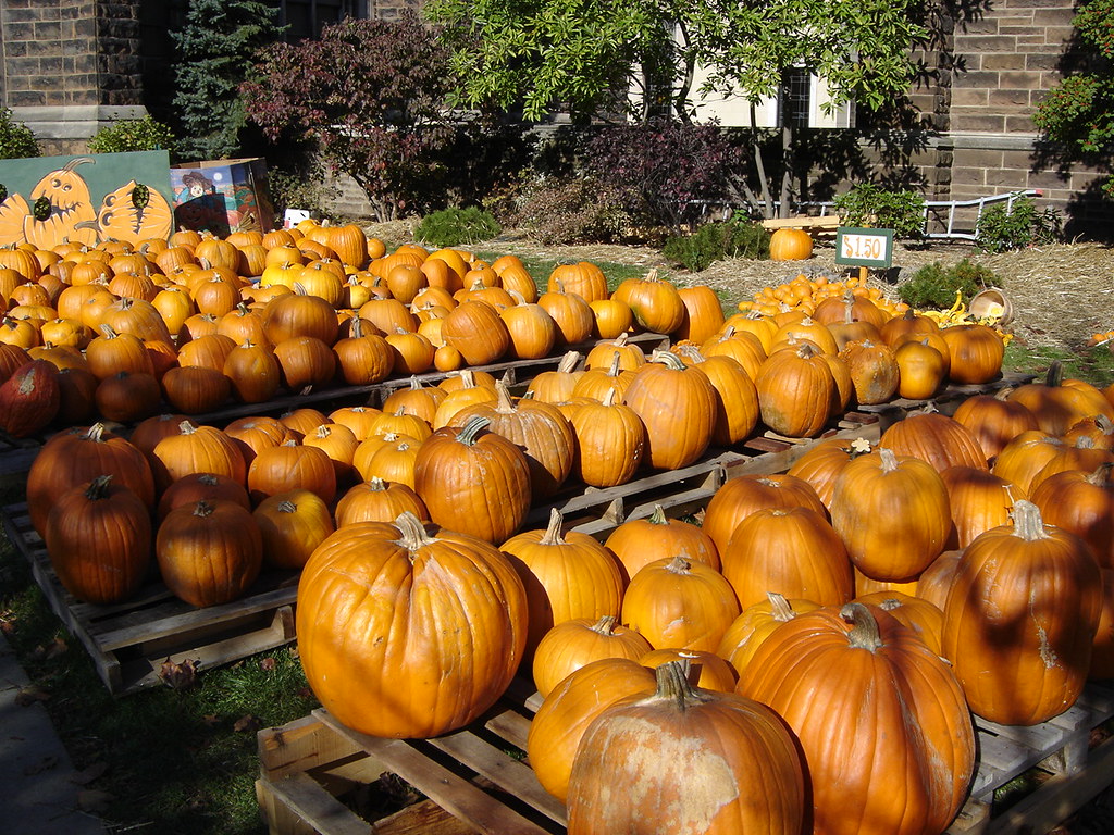 Pittsburgh, PA Pumpkin Patch harry_nl Flickr