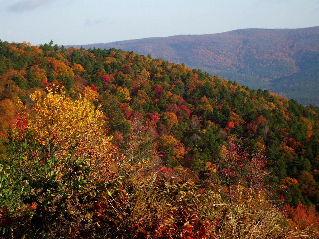 Talimena Scenic Drive Fall Foliage 2023