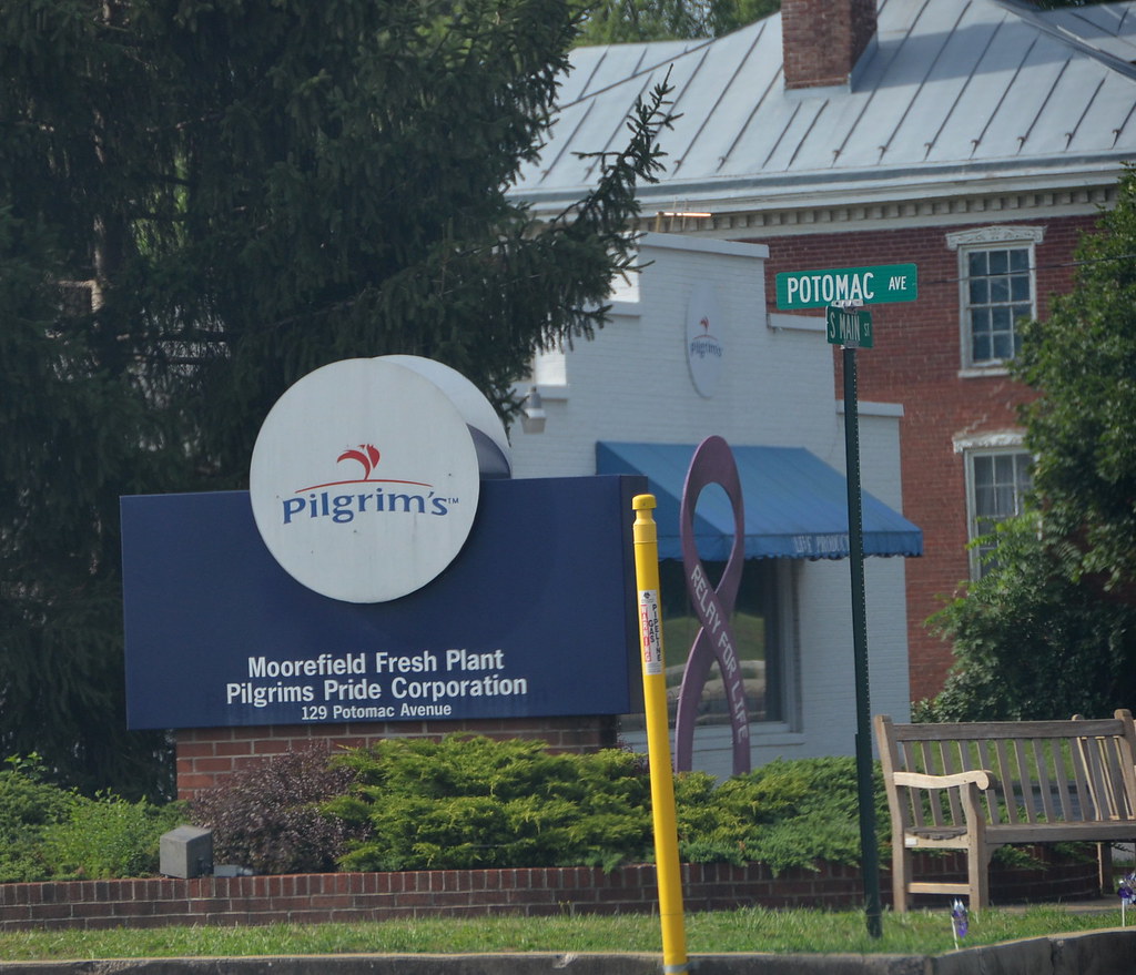 Moorefield Fresh Plant Moorefield Fresh Plant, Pilgrim's P… Flickr