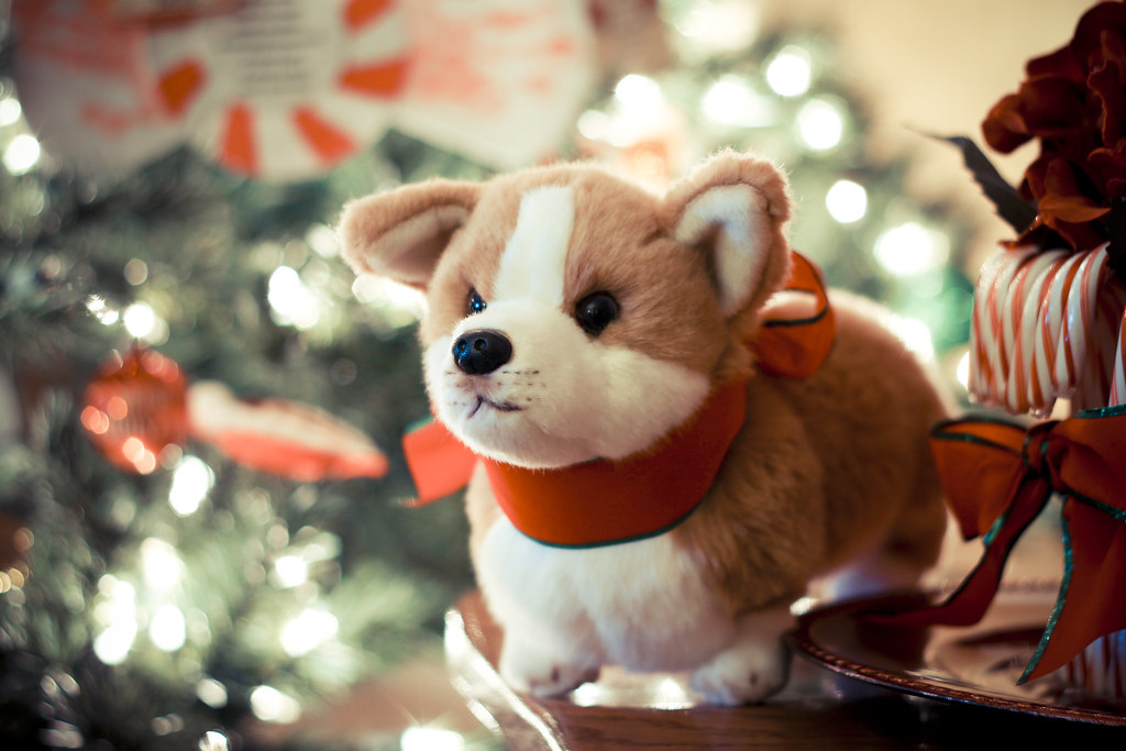 331366 Christmas Our stuffed that looks mos… Flickr