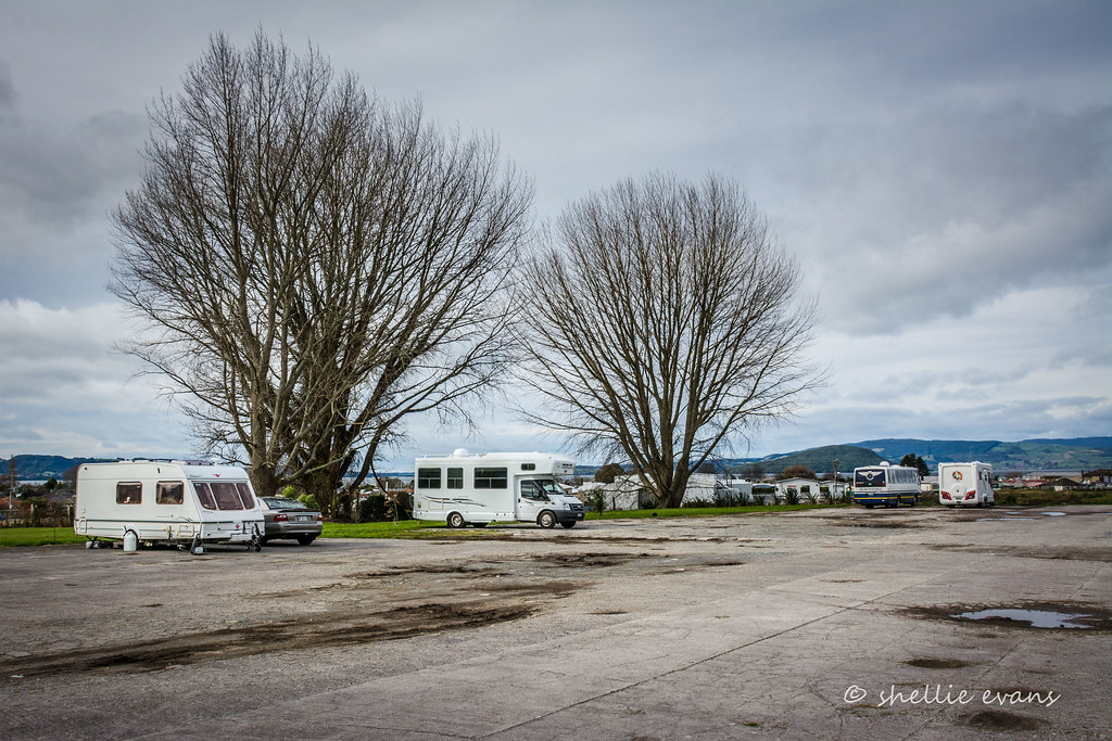 NZMCA Park, Ngongotaha, Rotorua Shellie Flickr