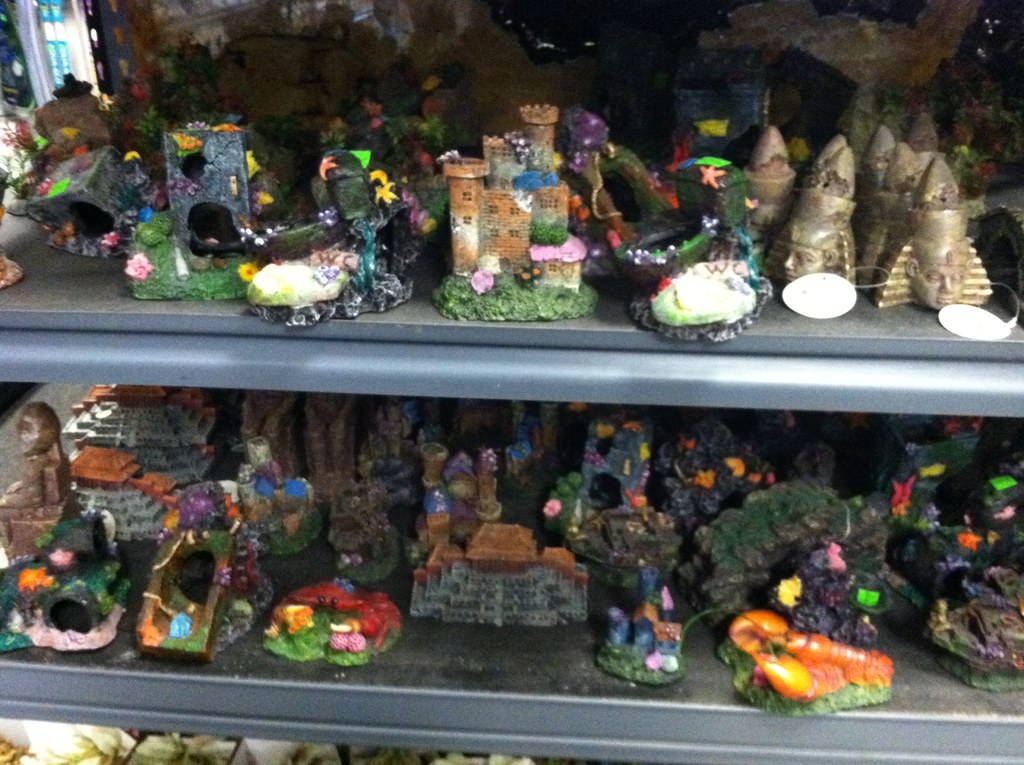 Aquariums Fish And Reptile Pet Store Chatsworth CA Exoti… Flickr