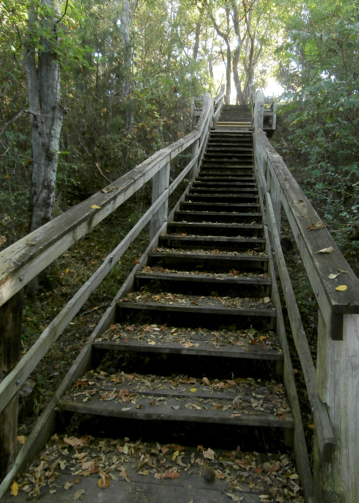 Ingomar Mounds zamburak Flickr