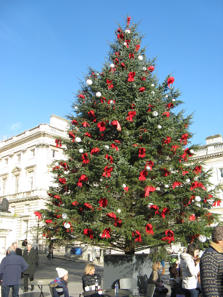 Christmas Tree Somerset House London Graham Tiller Flickr