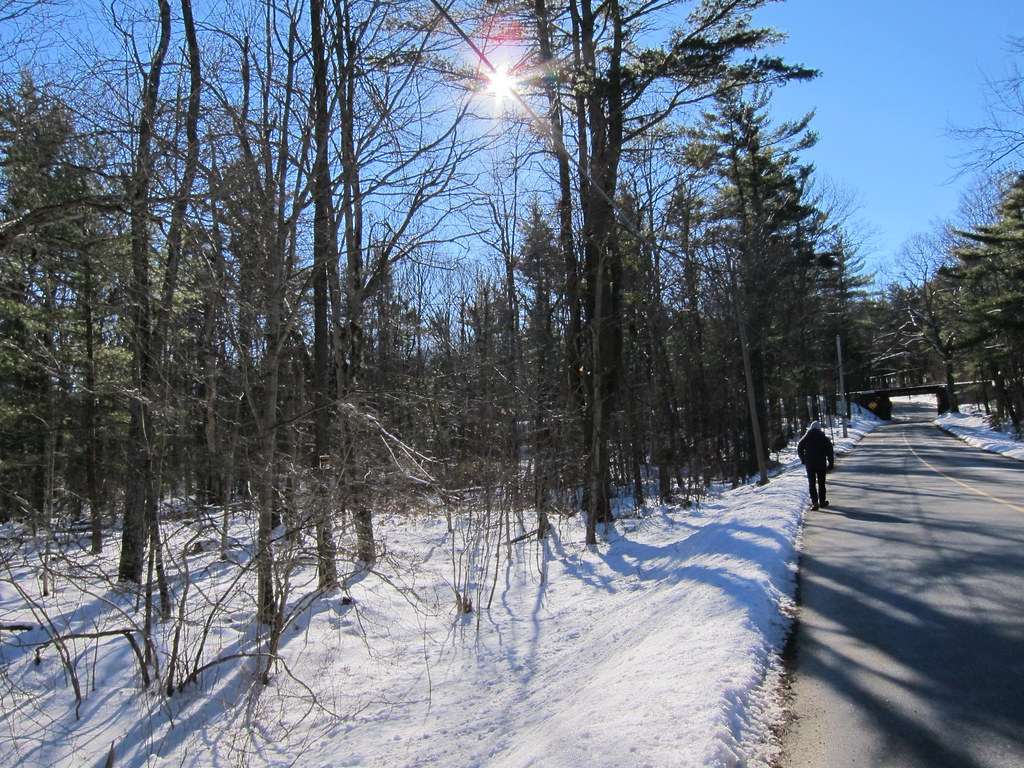 Ball Hill Road Princeton MA Isabel Castellanos Flickr