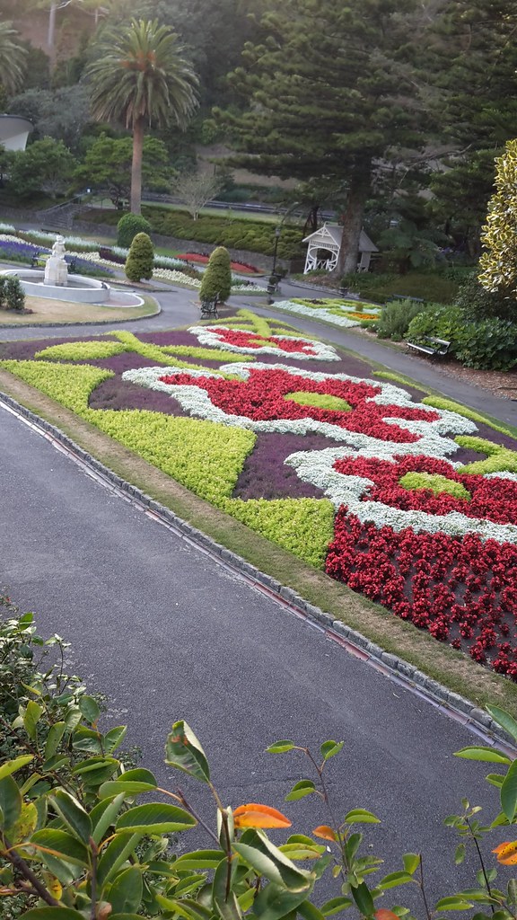 20160210_081408 The gardens beside Buchanan Way, looking t… Flickr