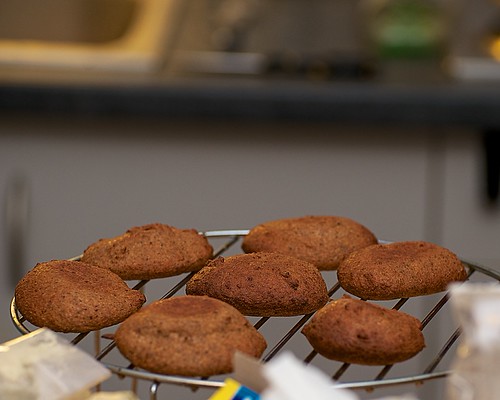 Highprotein low carb Cookies try 1 Results not sweet eno… Flickr