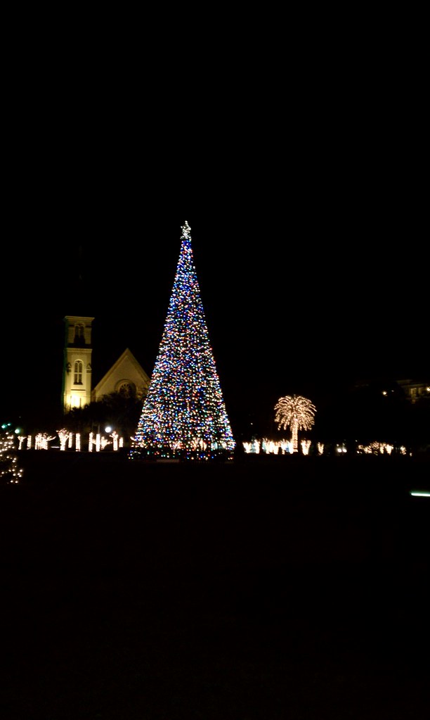 Marion Square holiday lights scpetrel Flickr