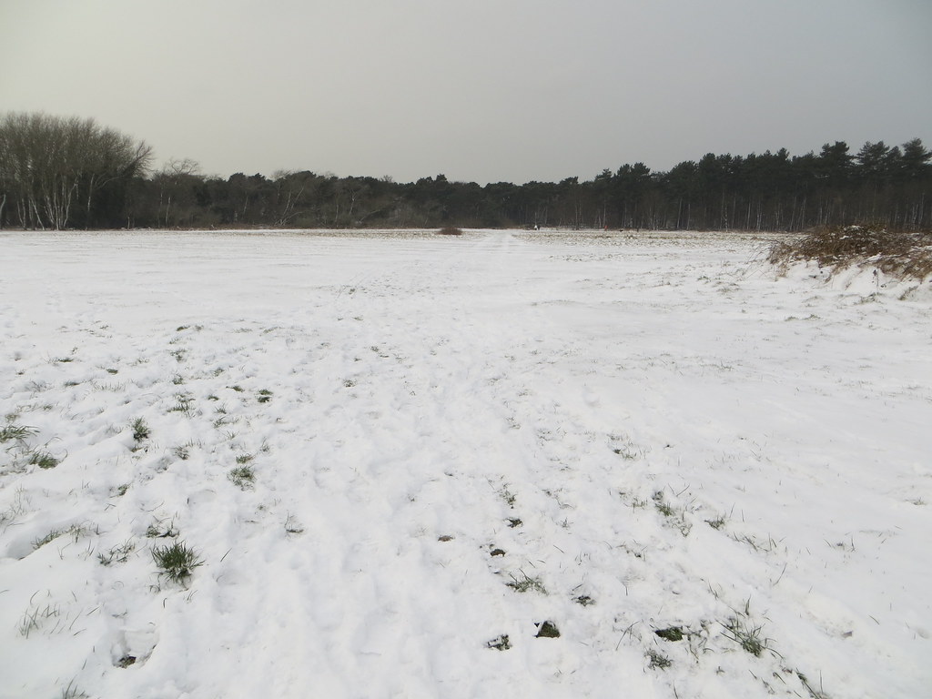 Larkhill Lane 2013 01 18 In The Snow 08 Tony Formby & Southport Past