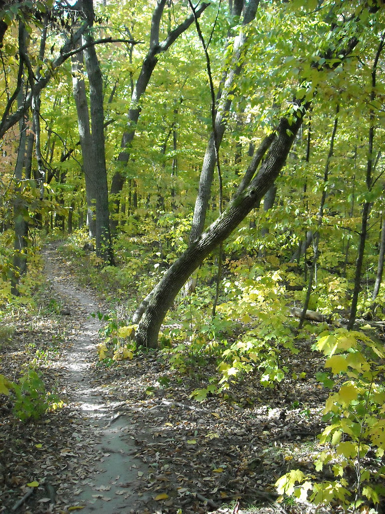 DSCN8182 GreenBush Craig Smith Flickr