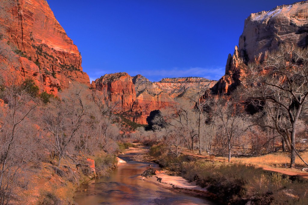 (2012L23) Zion National Park, Springdale, UT goldenpower1 Flickr