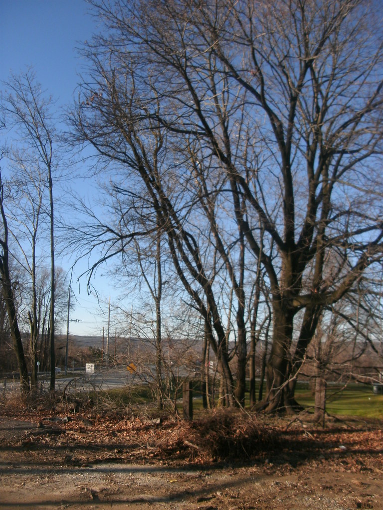 Frazer Station Frazer, Pennsylvania Adam Moss Flickr