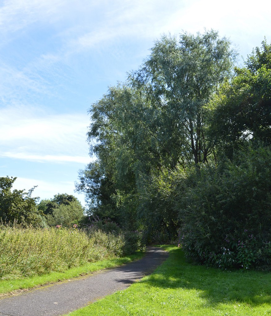 KilmarnockIrvine Cycle Path. Back into the Undergrowth. Flickr