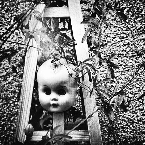 Creepy doll head garden idea picoftheday... Creepy doll h… Flickr