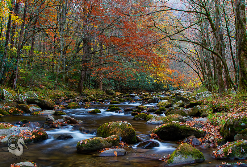 Elevation of Hatcher Mountain Road, Hatcher Mountain Rd, Sevierville