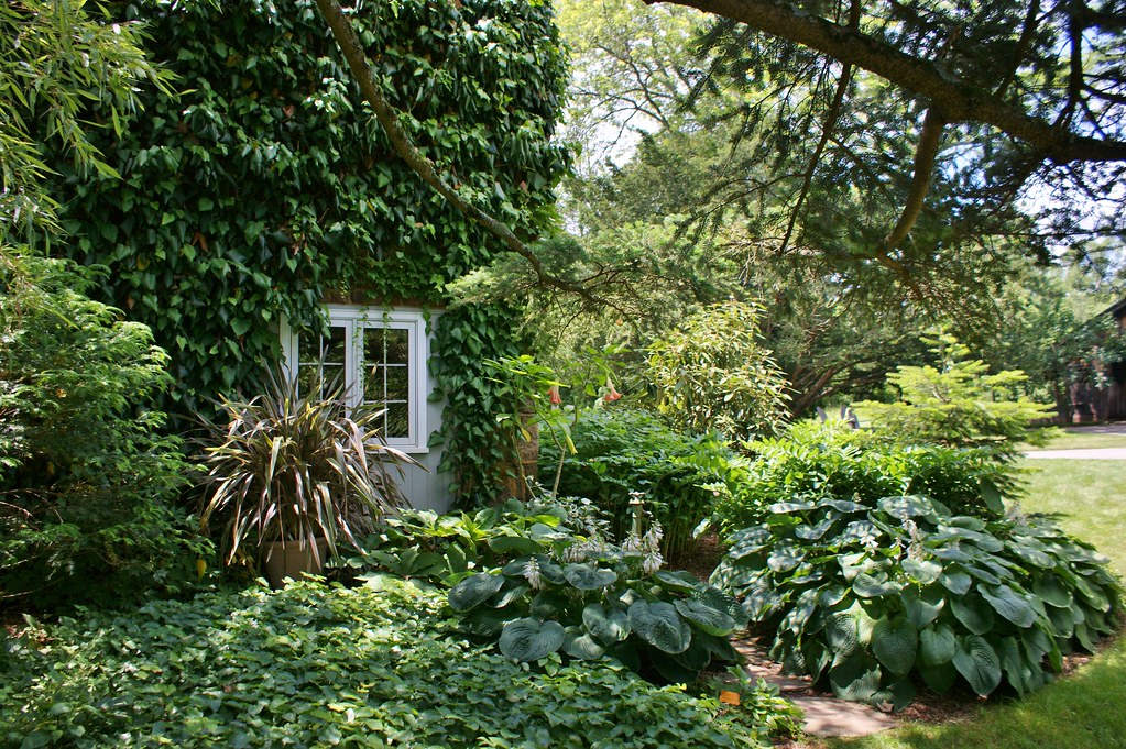 Willowwood June 2011 | Flickr