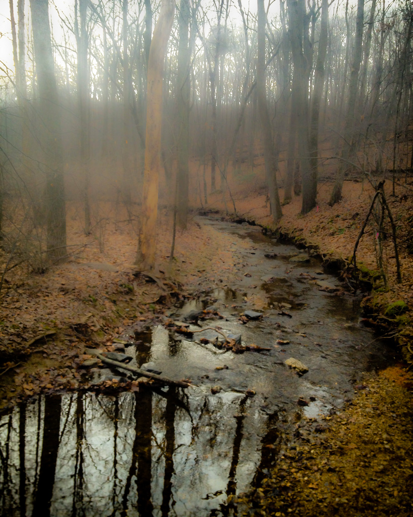 Elevation of Moxley Road, Moxley Rd, Damascus, MD, USA Topographic