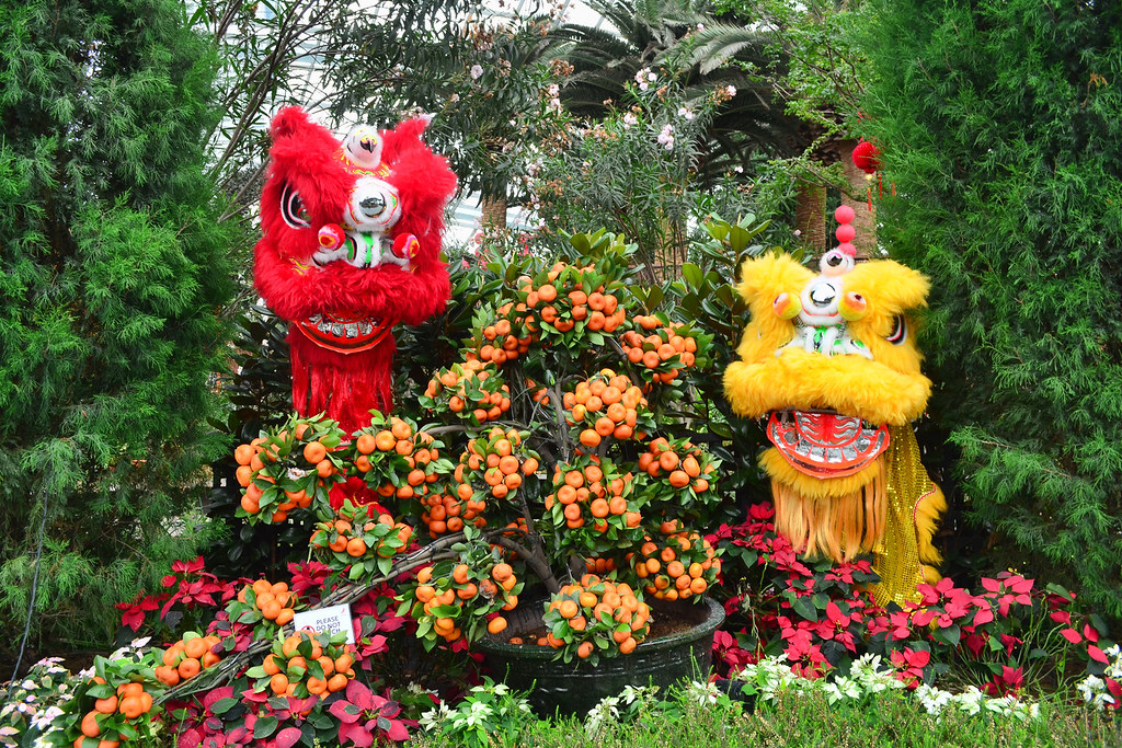 CNY Decorations Decorations at the Flower Dome, Gardens by… Flickr