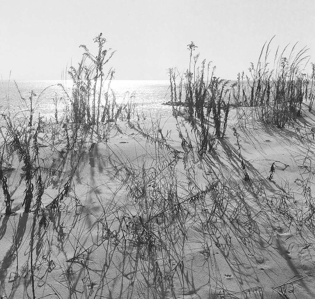 Cape May Point Ron Gaskill Flickr