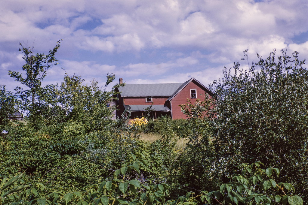 Abandoned farm near McCausland Lake, August 1965. Robert Williams
