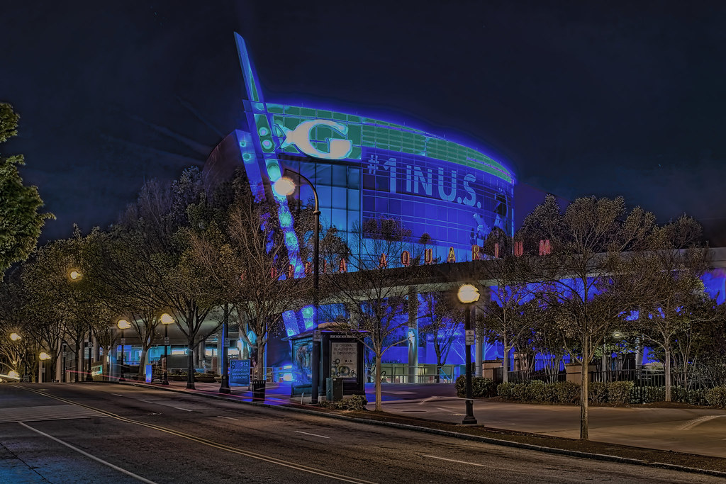 Aquarium, 225 Baker Street NW, Atlanta, U… Flickr