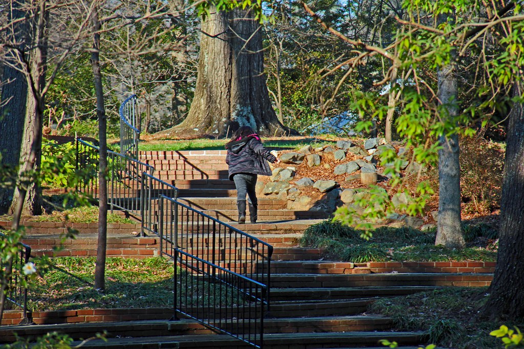 Glencairn Garden 005 Photo shoot at Glencairn Garden locat… Flickr