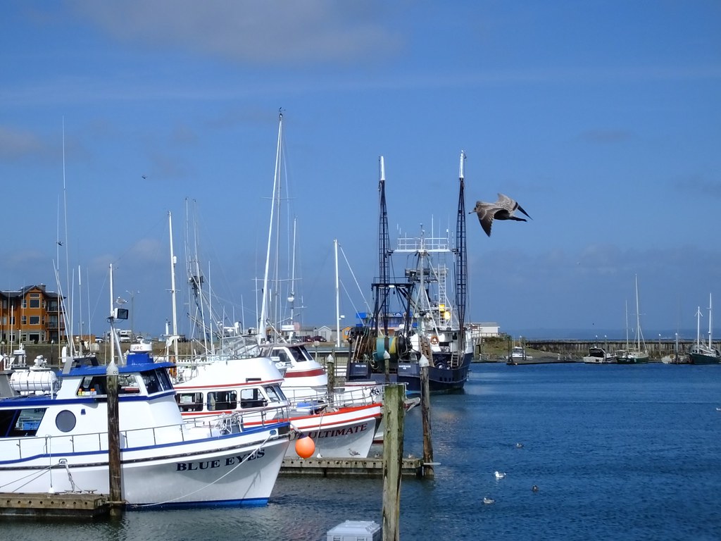 Westport Boats Charter boats and commercial fishing boat a… Flickr
