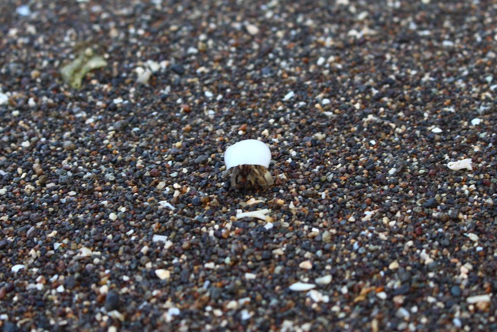 IMG_2490 Rowena Reyes Flickr