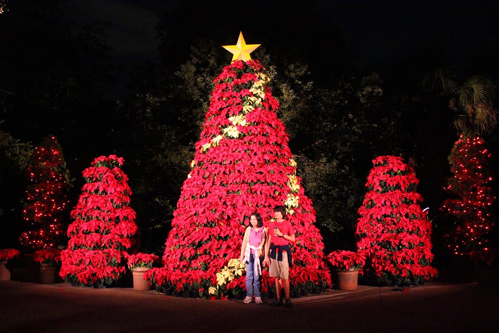 Christmas Town at Busch Gardens Tampa Inside the Magic Flickr