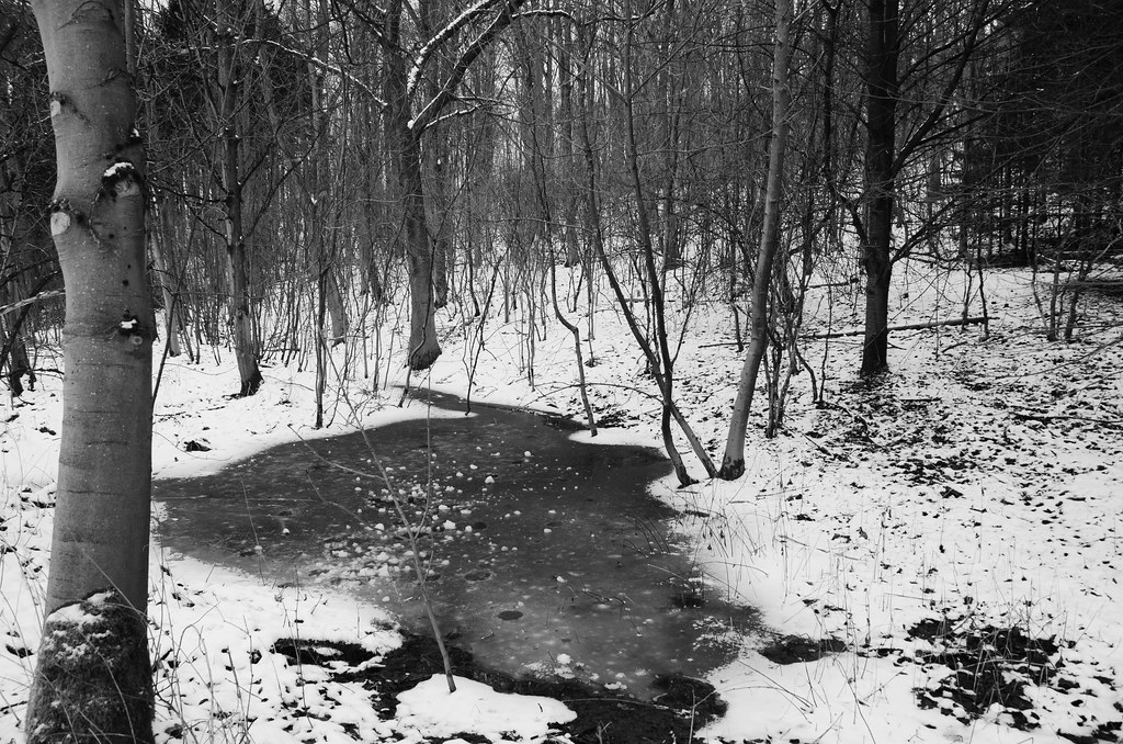 Welton woods Wandering around the streets...... Flickr