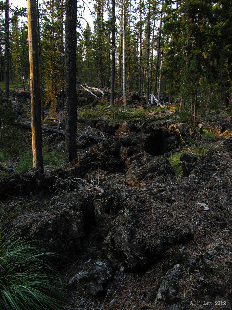 Big Lava Bed. Gifford Pinchot National Forest. Washington.… Flickr