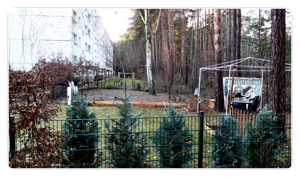 Mein Kiez Potsdam Waldstadt Lutz Flickr